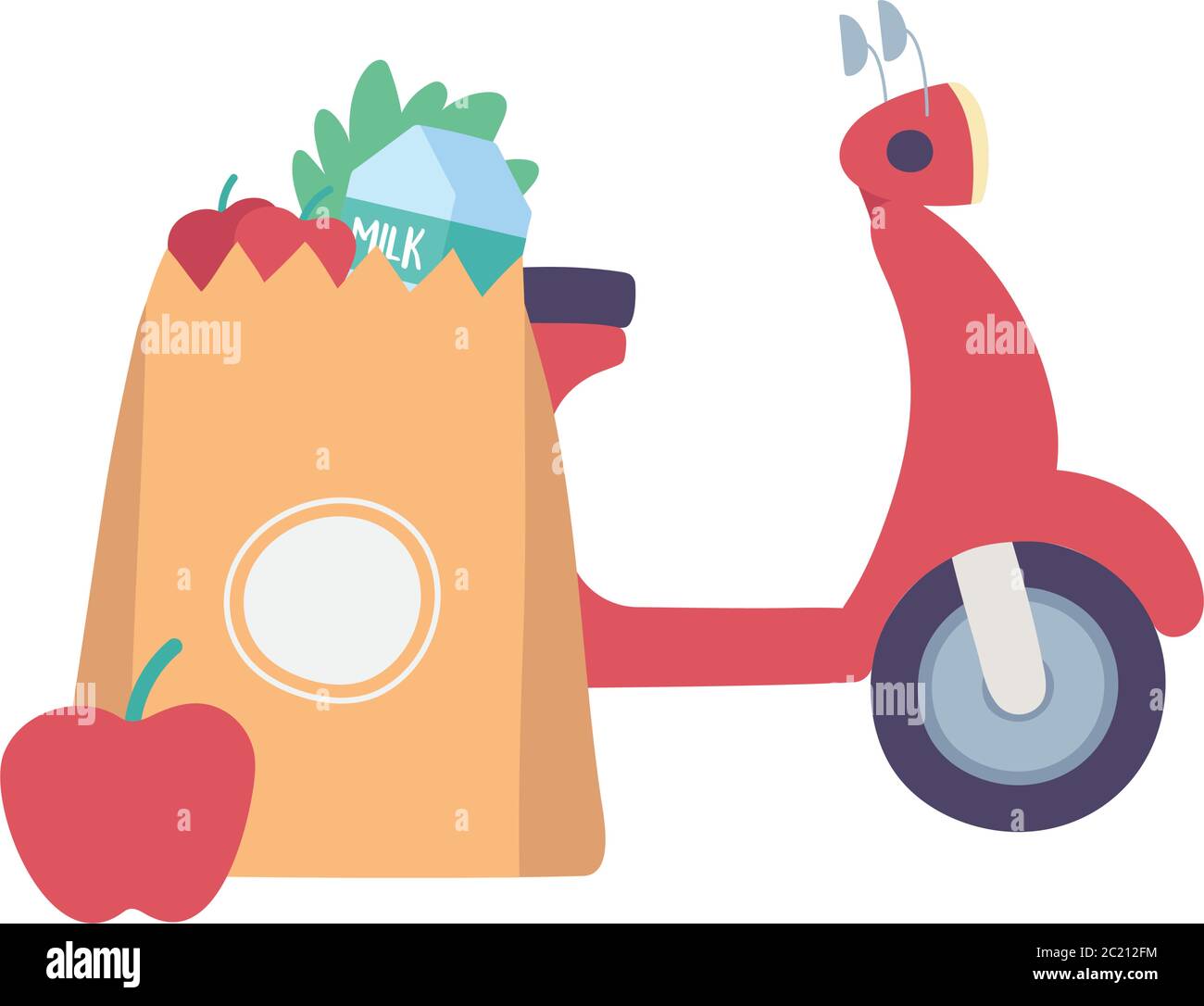 motorcycle grocery bag