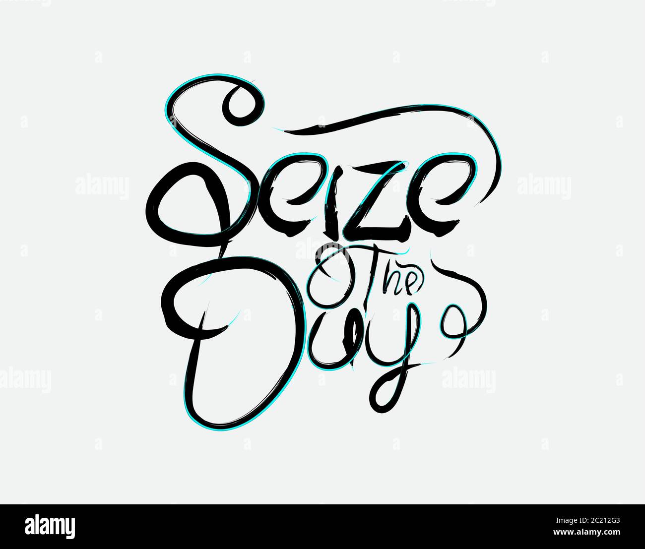 Seize The Day lettering text on white background in vector illustration
