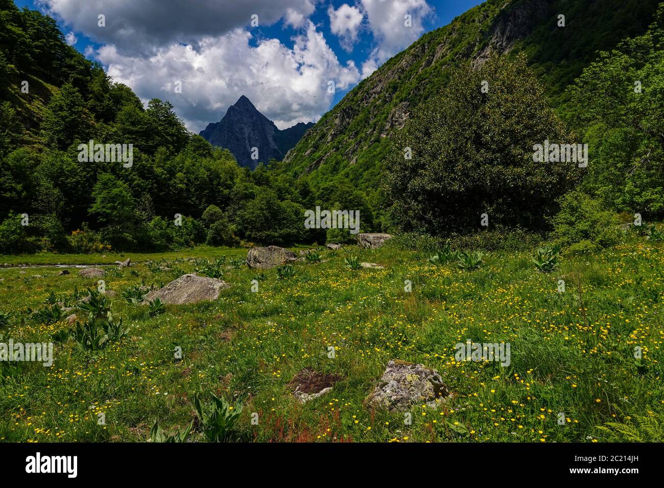 The prominent rocky peak of the Dent d'Orlu, Ax les Thermes, Ariege, French Pyrenees, France Stock Photo