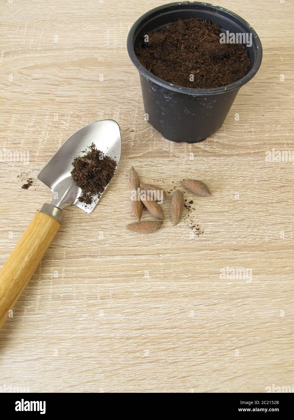 mini plants in pots Lil Kitten Squad Pots – Happyplanthome main image 1