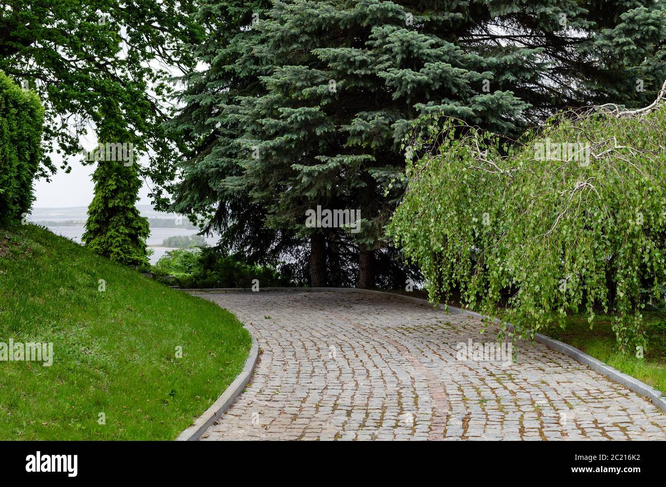 paving road in the park among green trees, beautiful spring landscape Stock Photo