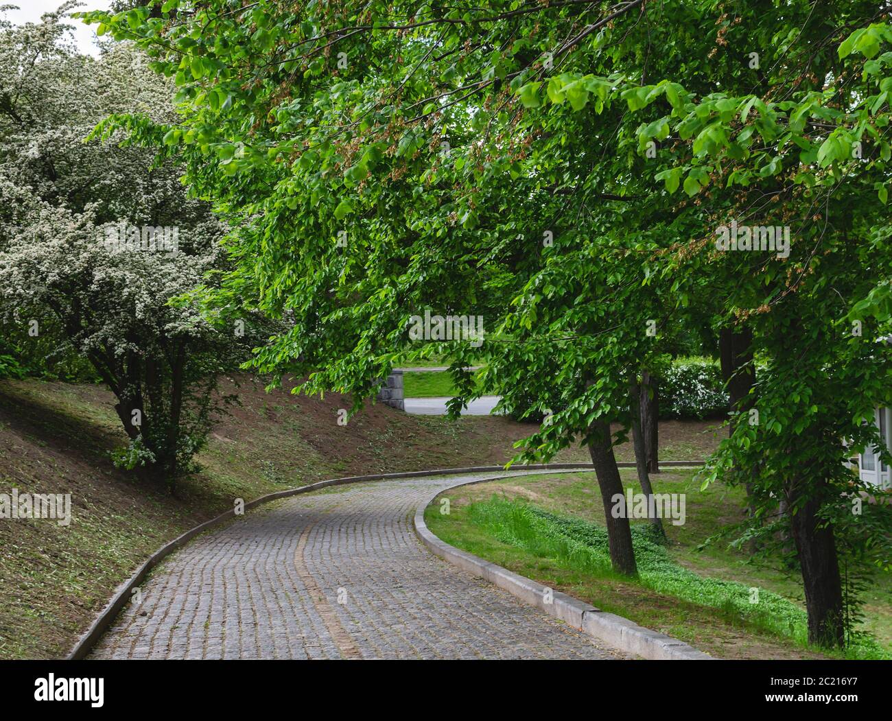 paving road in the park among green trees, beautiful spring landscape Stock Photo