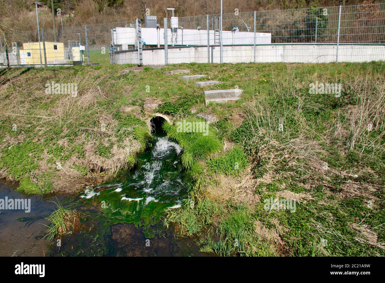 Algae formation in the course of a sewage treatment plant Stock Photo