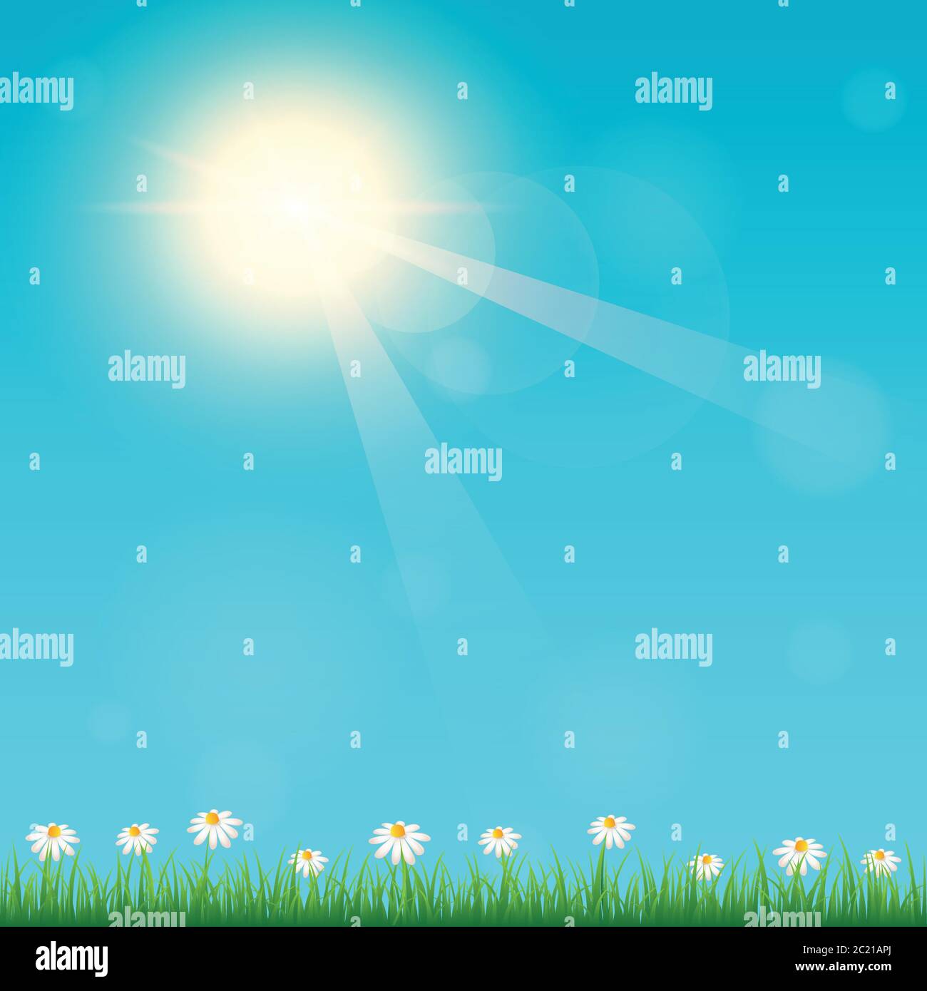 summer time sunny sky background with flower meadow vector illustration EPS10 Stock Vector