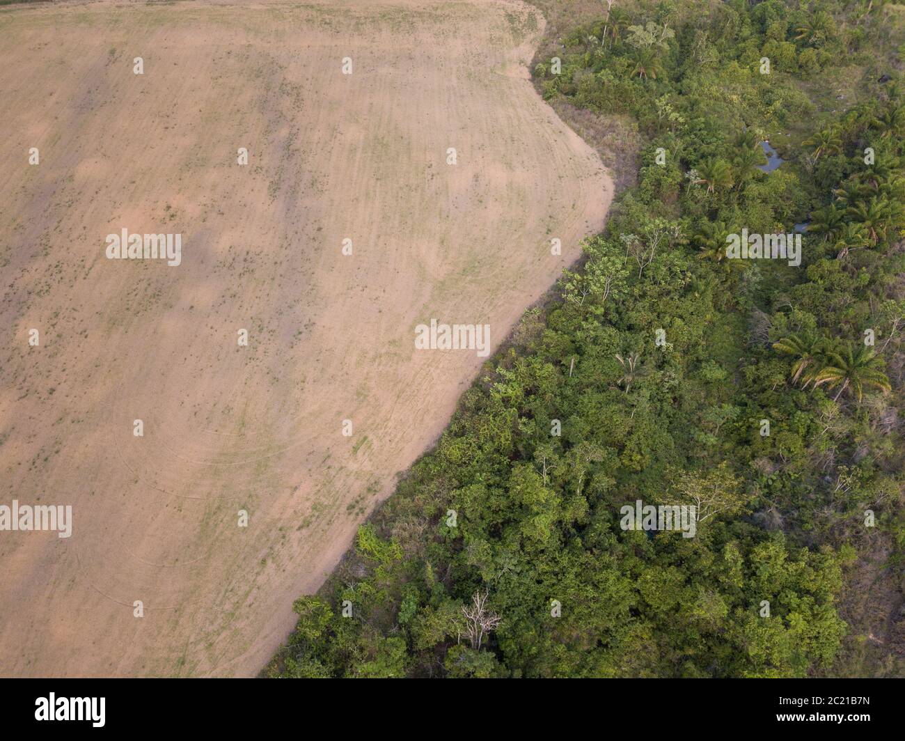 Drone aerial view of deforestation in soy agriculture farm and forest trees in the Amazon rainforest, Brazil. Concept of ecology, carbon footprint. Stock Photo