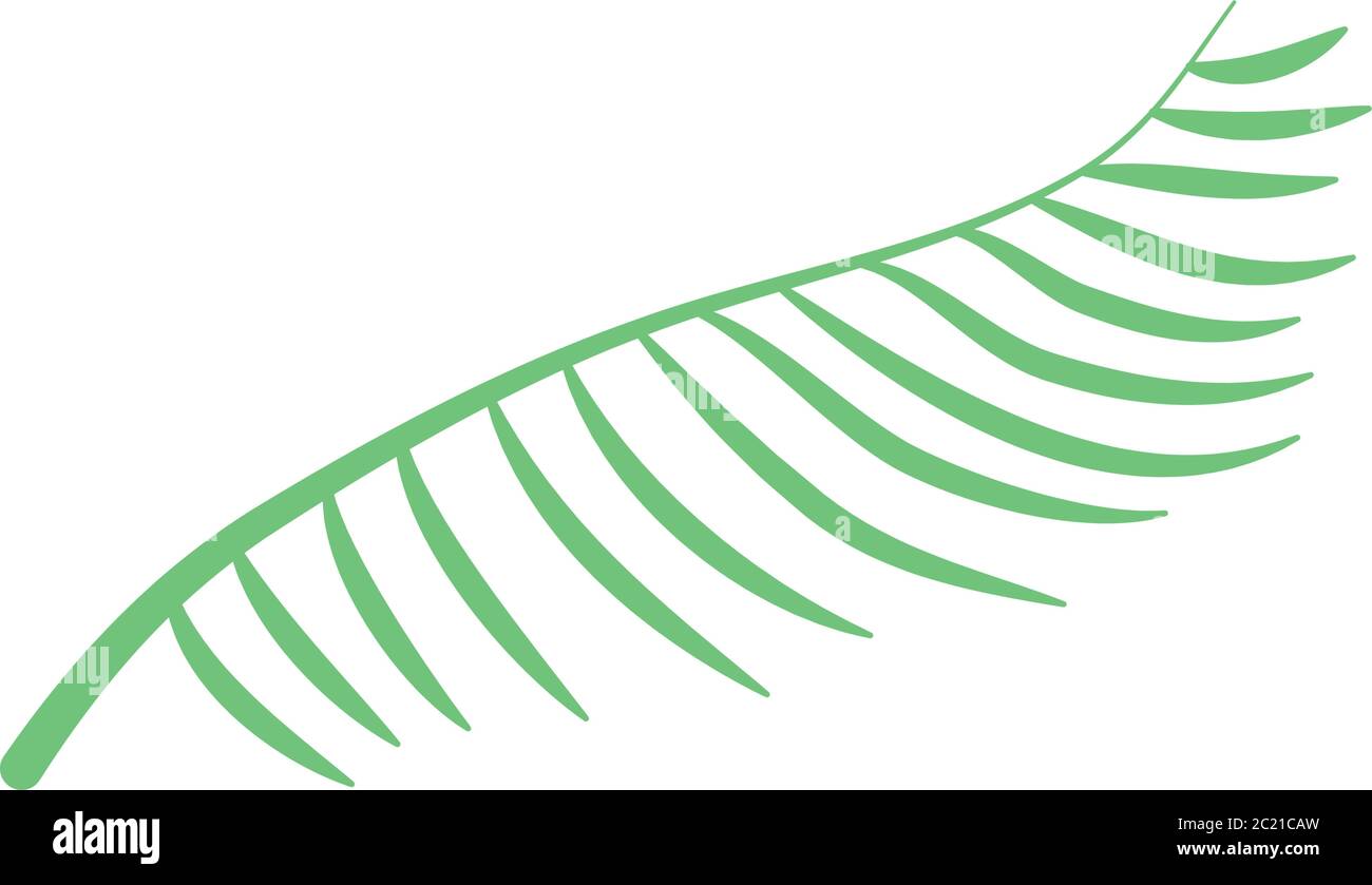 Palm leaf icon over white background, flat style, vector illustration
