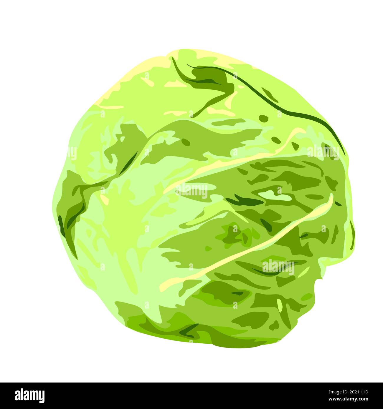 Cabbage clipart Cut Out Stock Images & Pictures Alamy
