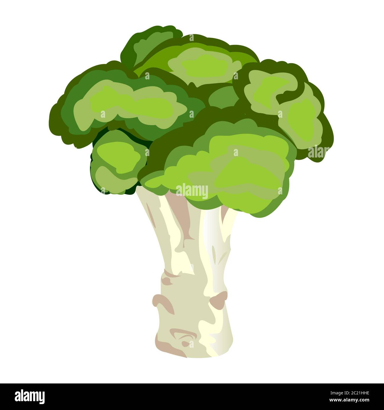 Broccoli clipart Cut Out Stock Images & Pictures Alamy