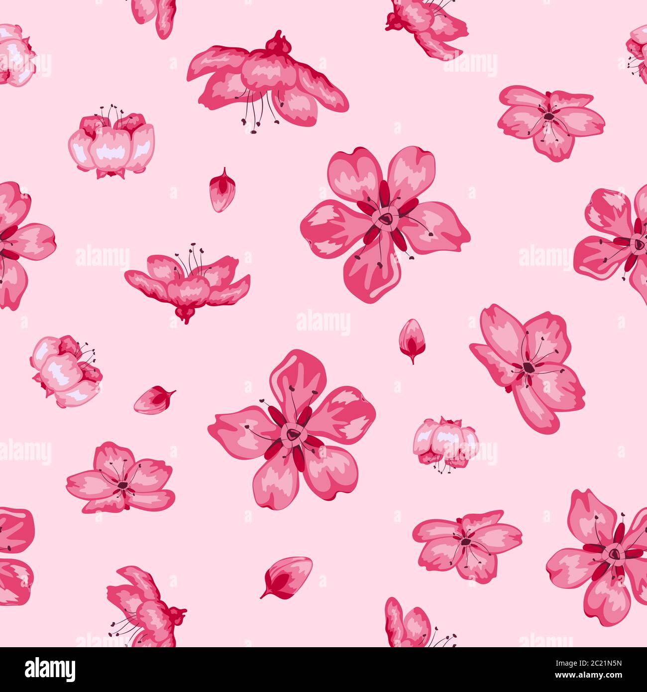 Sakura blossom flowers seamless pattern background, vector illustrator Stock Vector