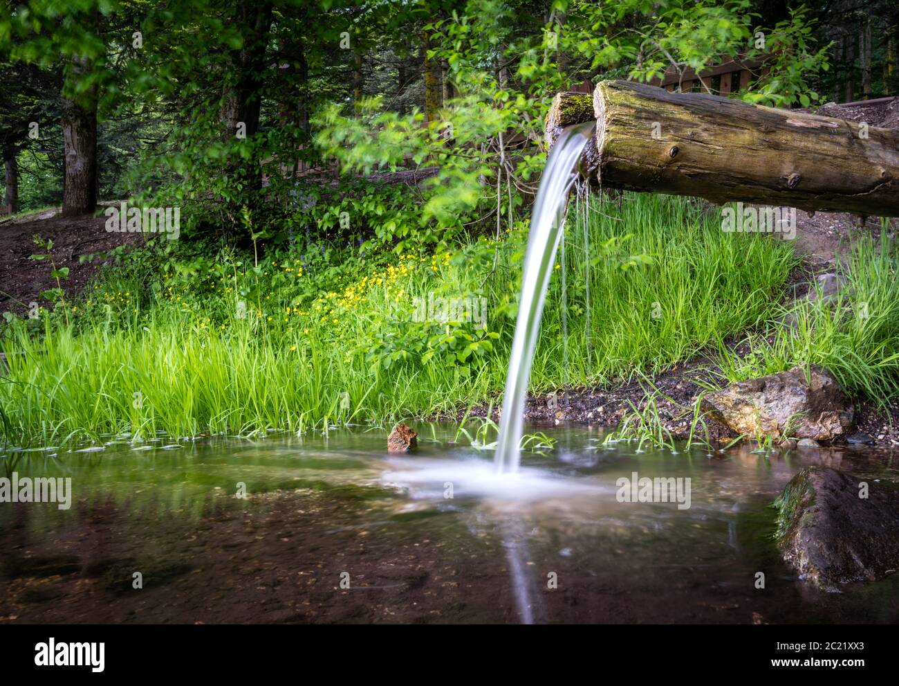 Soft Water Feeling Down