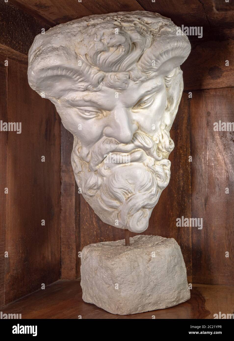 A white plaster cast bust of Zeus an ancient Greek god on a shelf in an old wooden display