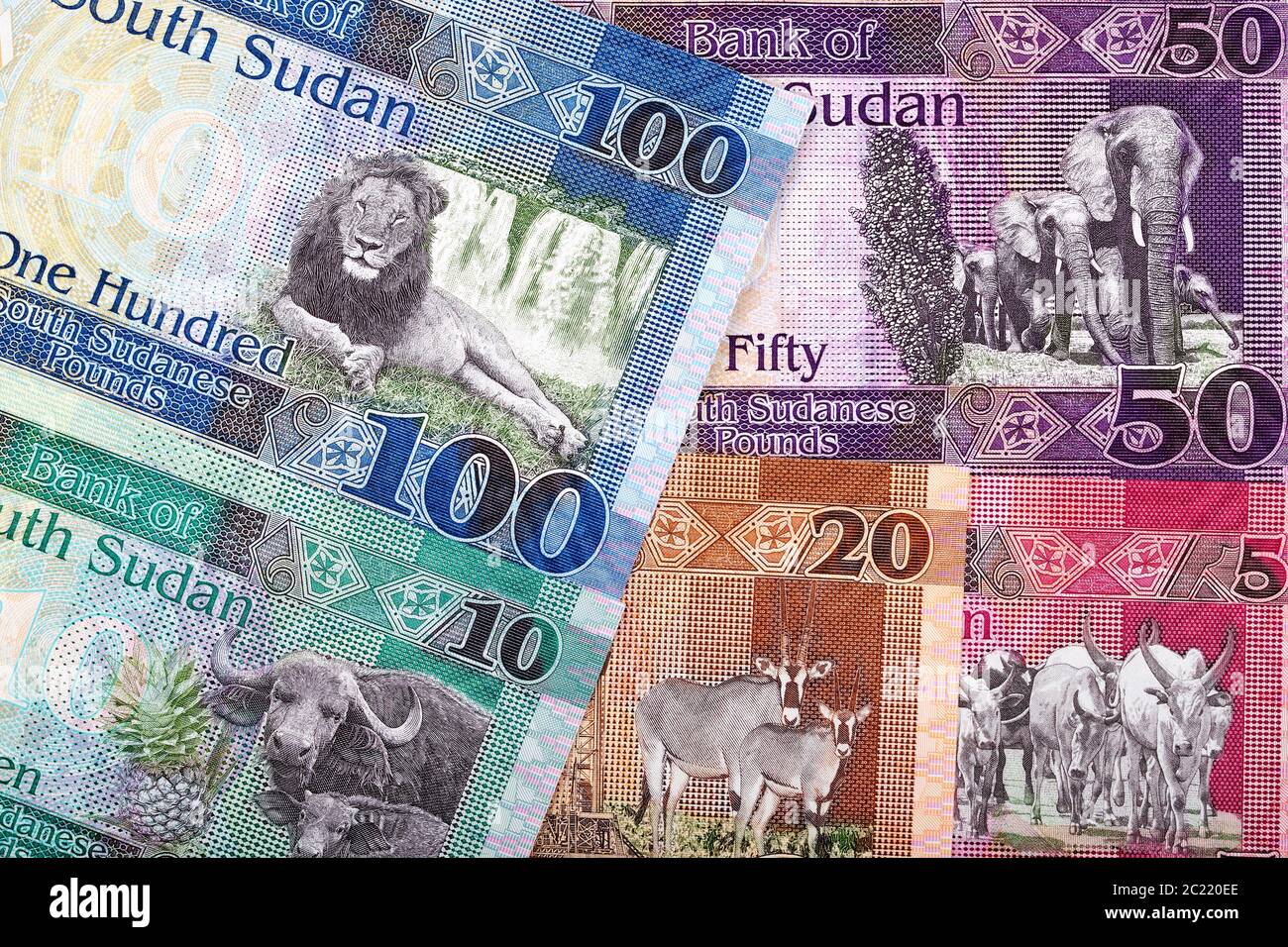 South Sudanese Pounds, a background Stock Photo