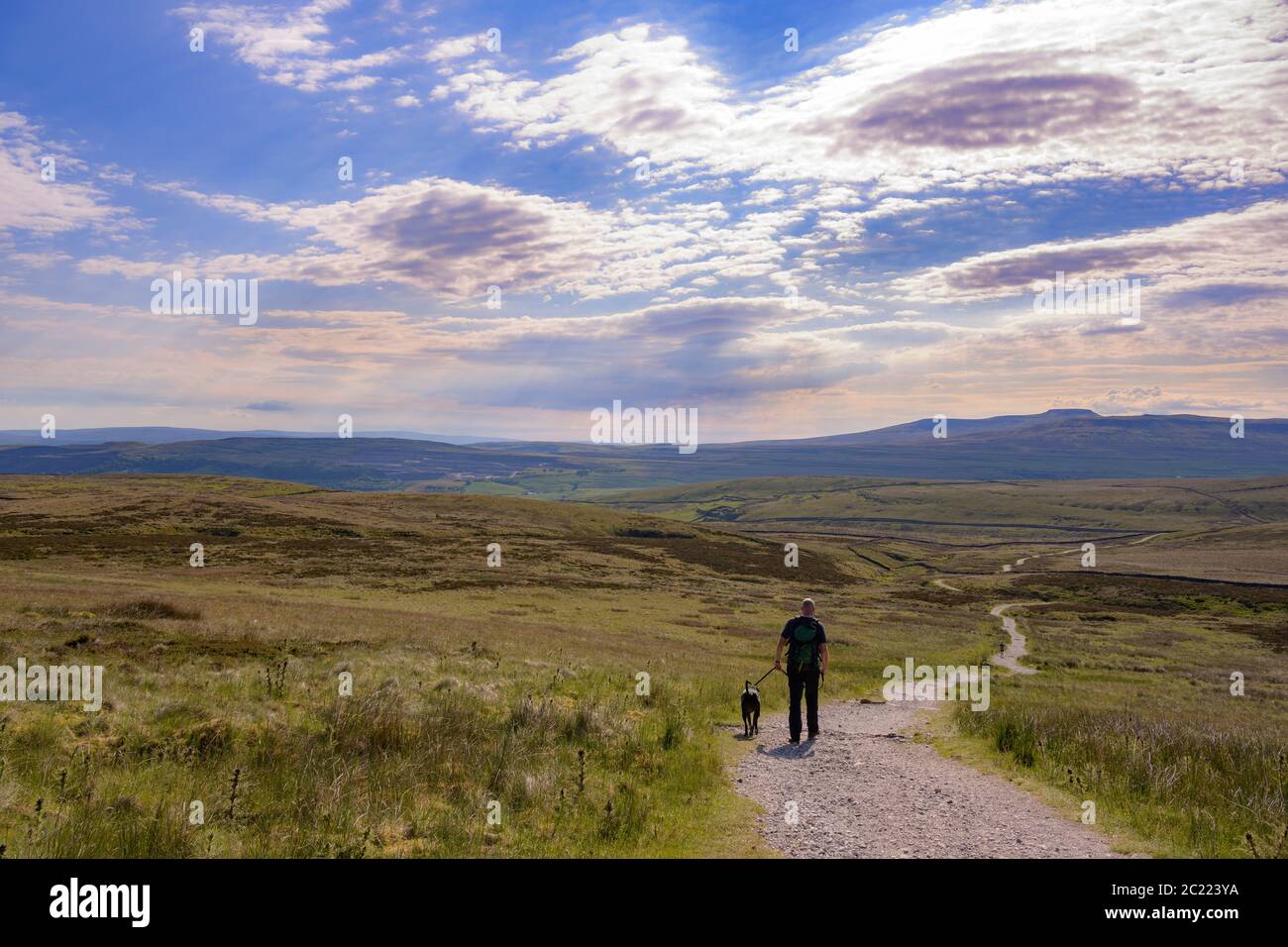 Walking the Dog, Yorkshire Dales National Park Stock Photo Alamy