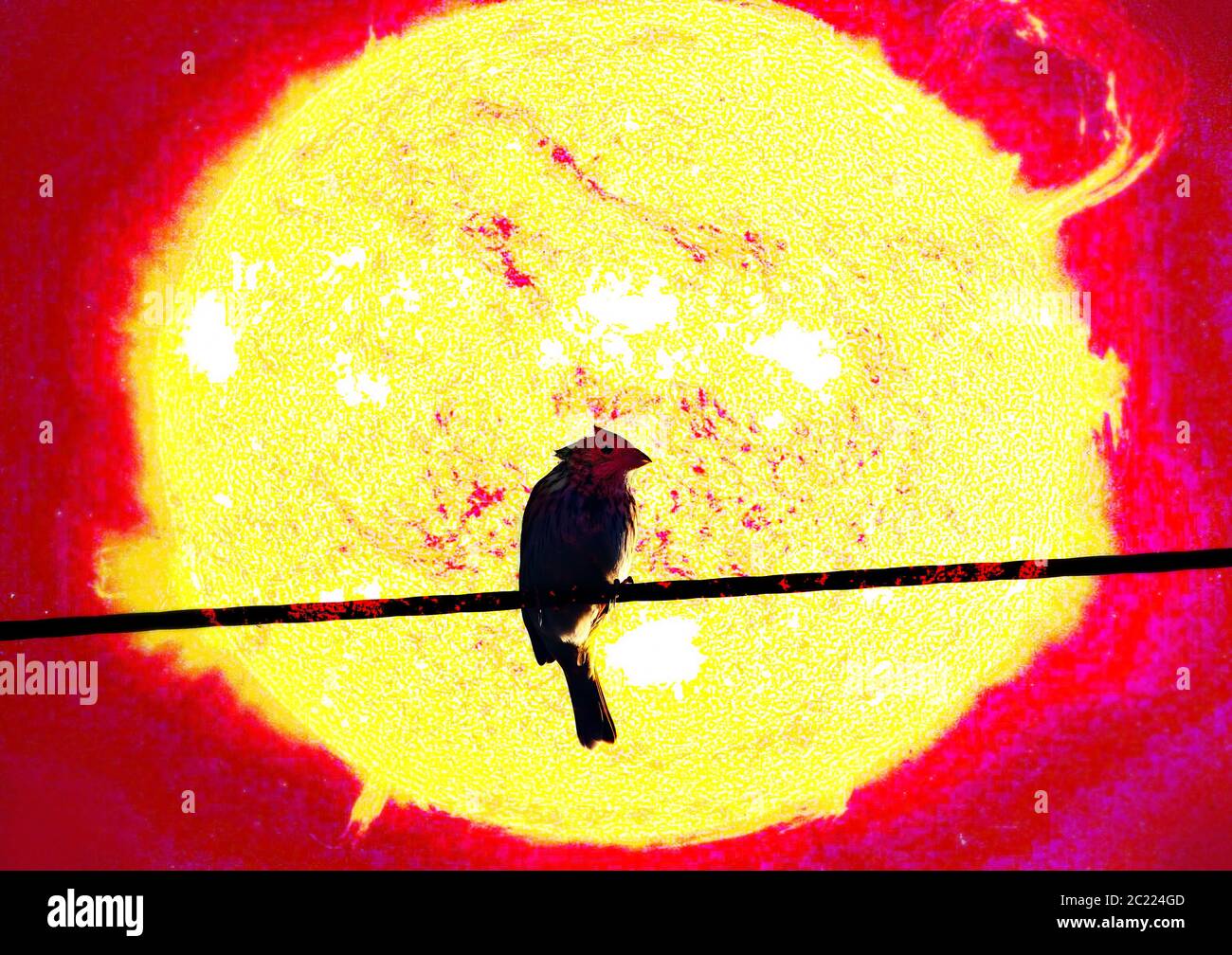 Pseudo children's drawing: bird on wires (Wie ein Vogel auf dem Draht) against hot lurid solar disk with prominences - loneliness and helplessness. El Stock Photo