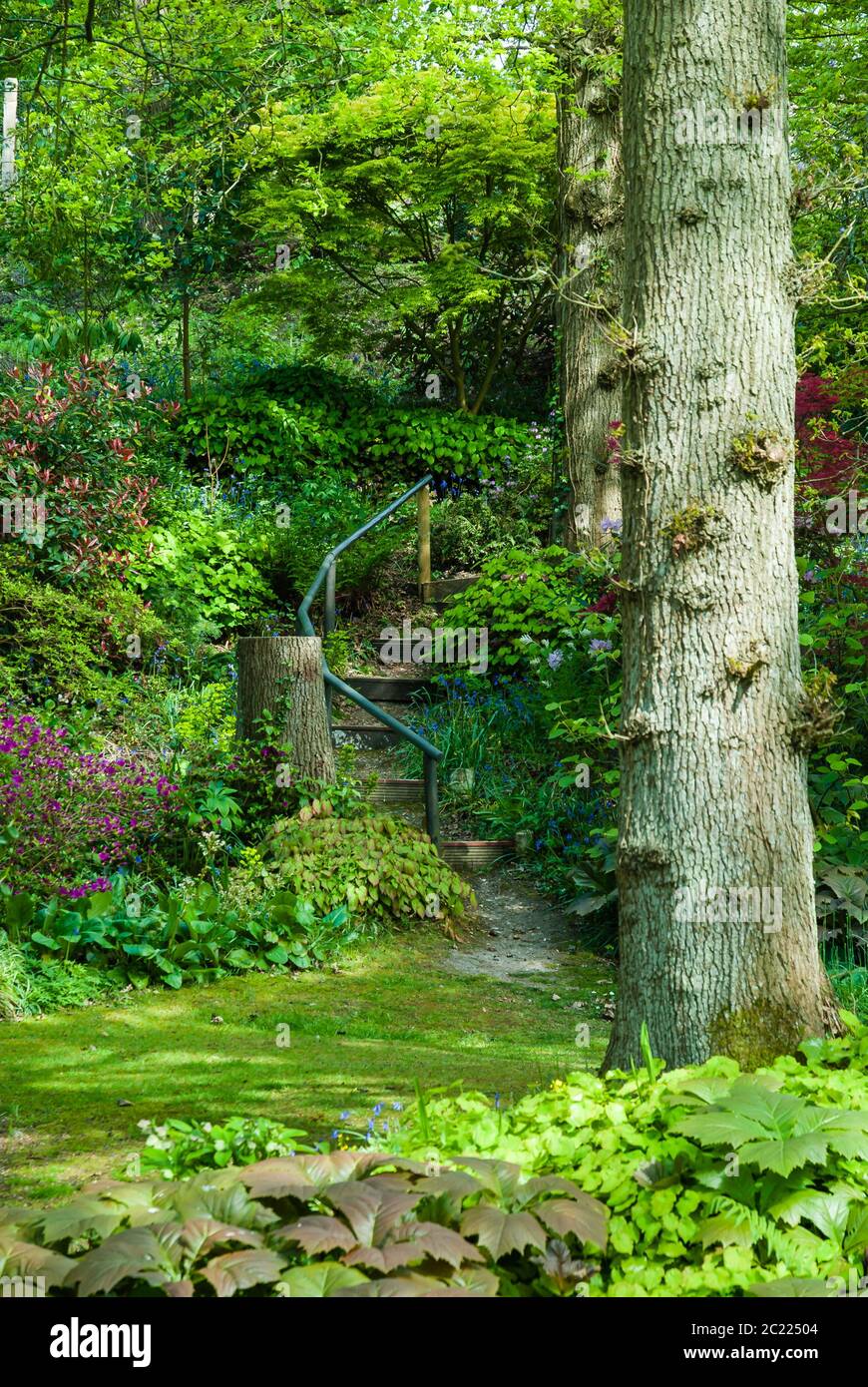 Spinners Gardens, Hampshire Stock Photo Alamy