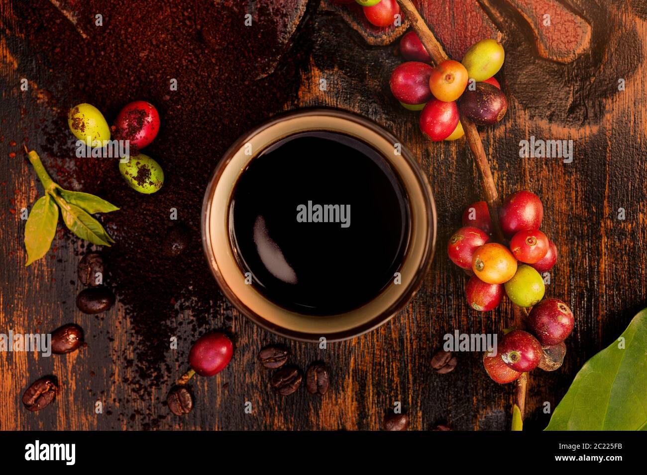 Coffee fruits and roasted coffee beans Stock Photo Alamy