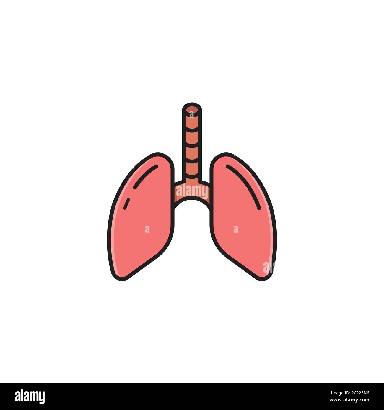 Human lungs vector icon symbol isolated on white background Stock ...