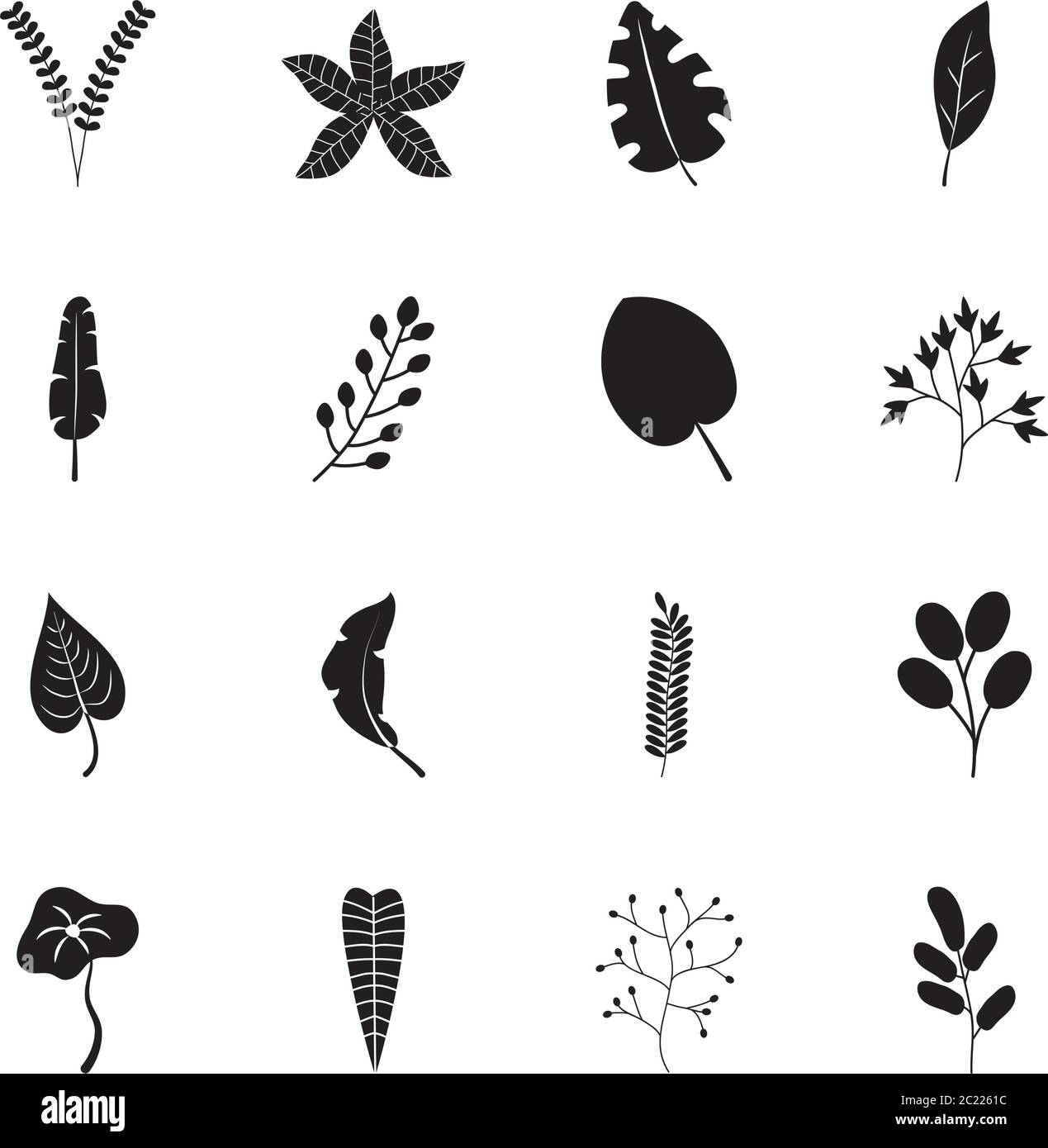 cartoon tropical leaves icon set over white background, silhouette ...