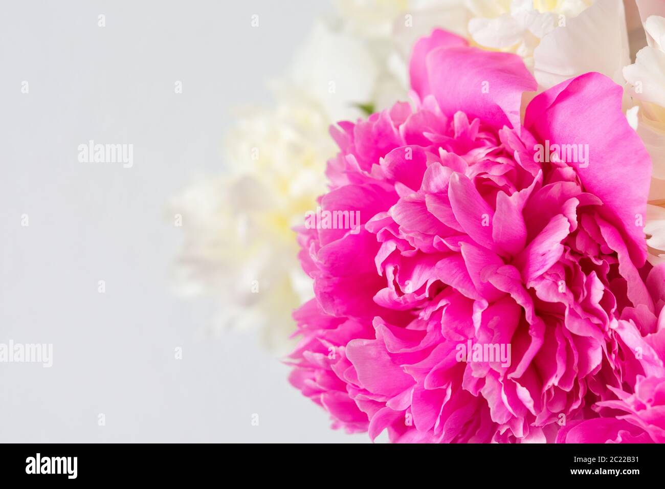 Beautiful bouquet of peonies, pink and white peonies floral background ...
