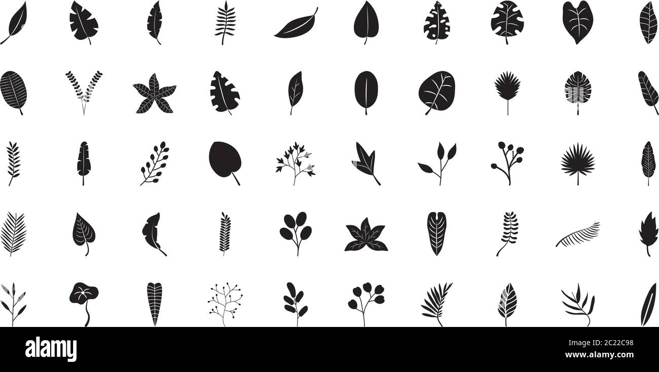tropical leaves icon set over white background, silhouette style ...