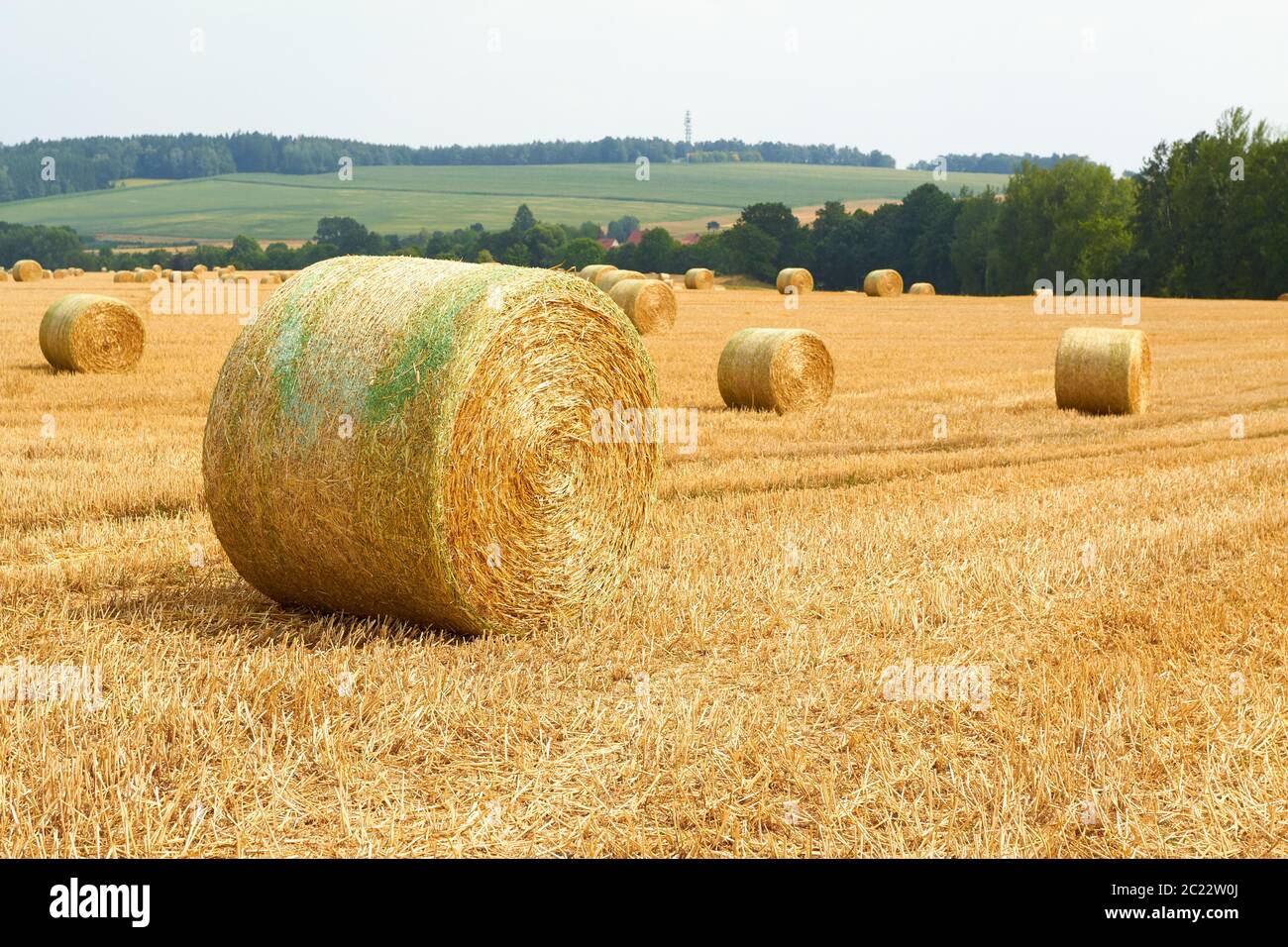 straw Stock Photo