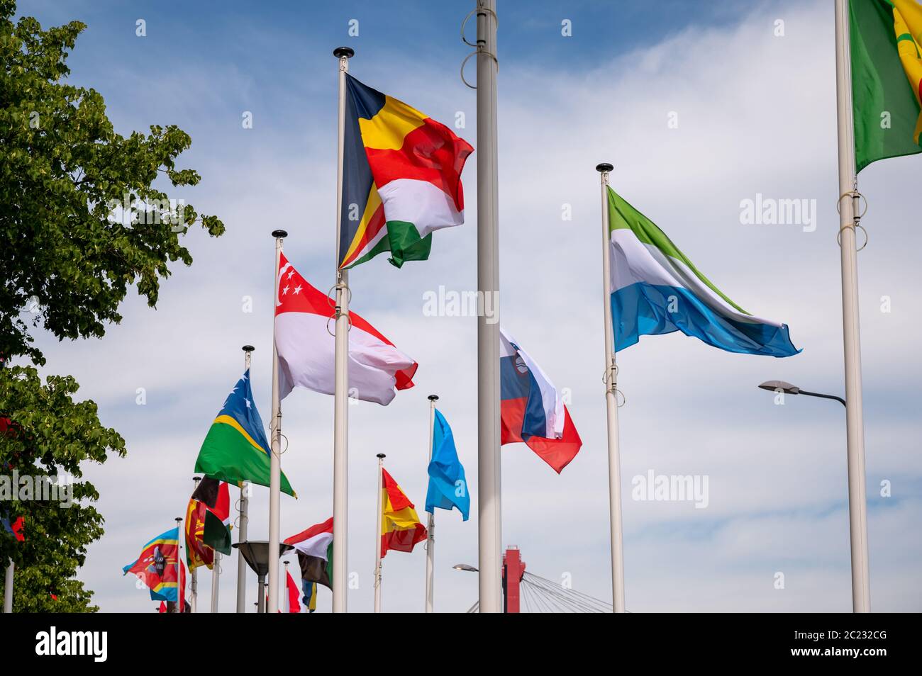 Flags of the world on the banks of the Nieuwe Maas in Rotterdam, Netherlands Stock Photo