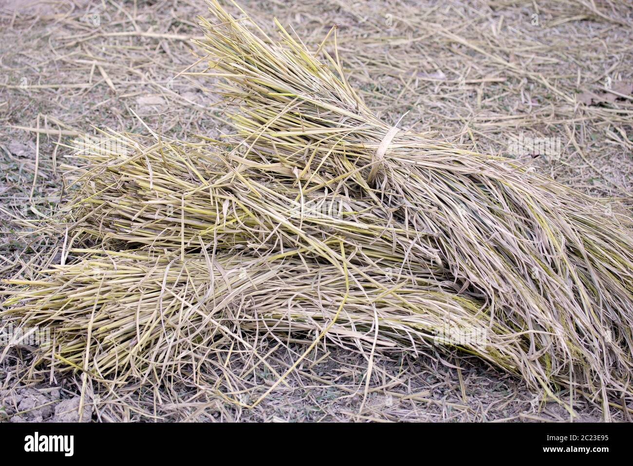hay and straw Stock Photo Alamy