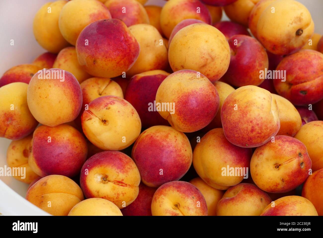 Apricot red hires stock photography and images Alamy