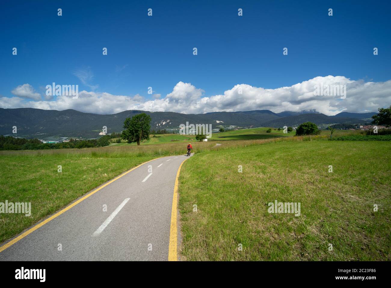 combined bike and pedestrian path across alpine meadows and forests in Val di Non, South Tyrol. Italy; cycle lane in nature Stock Photo
