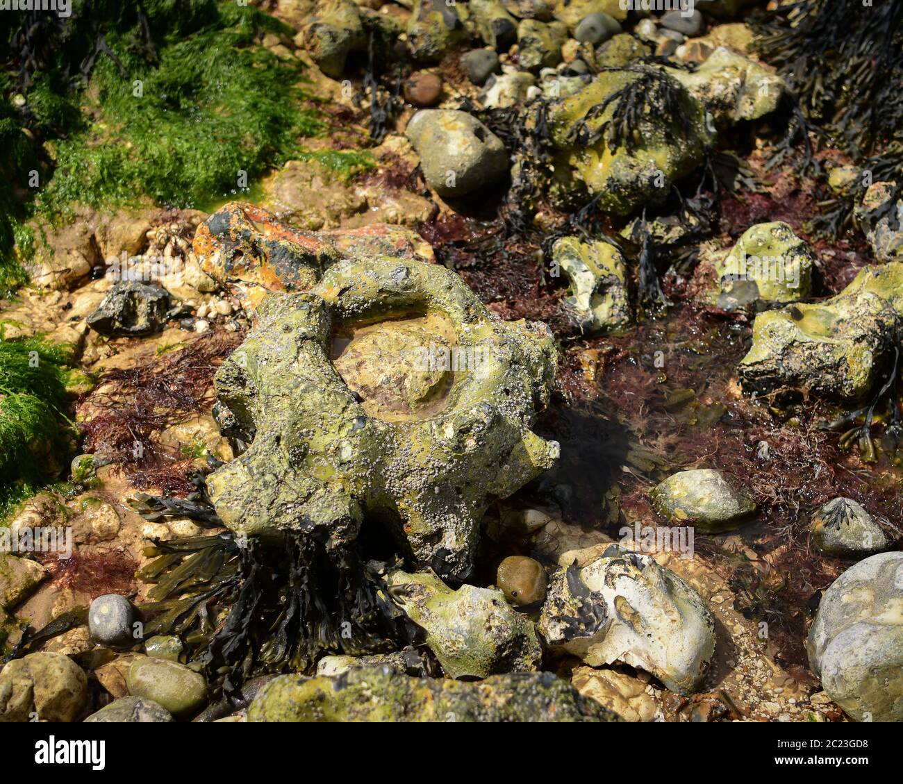 Pot Stone at Low Tide on West Runton Beach Stock Photo