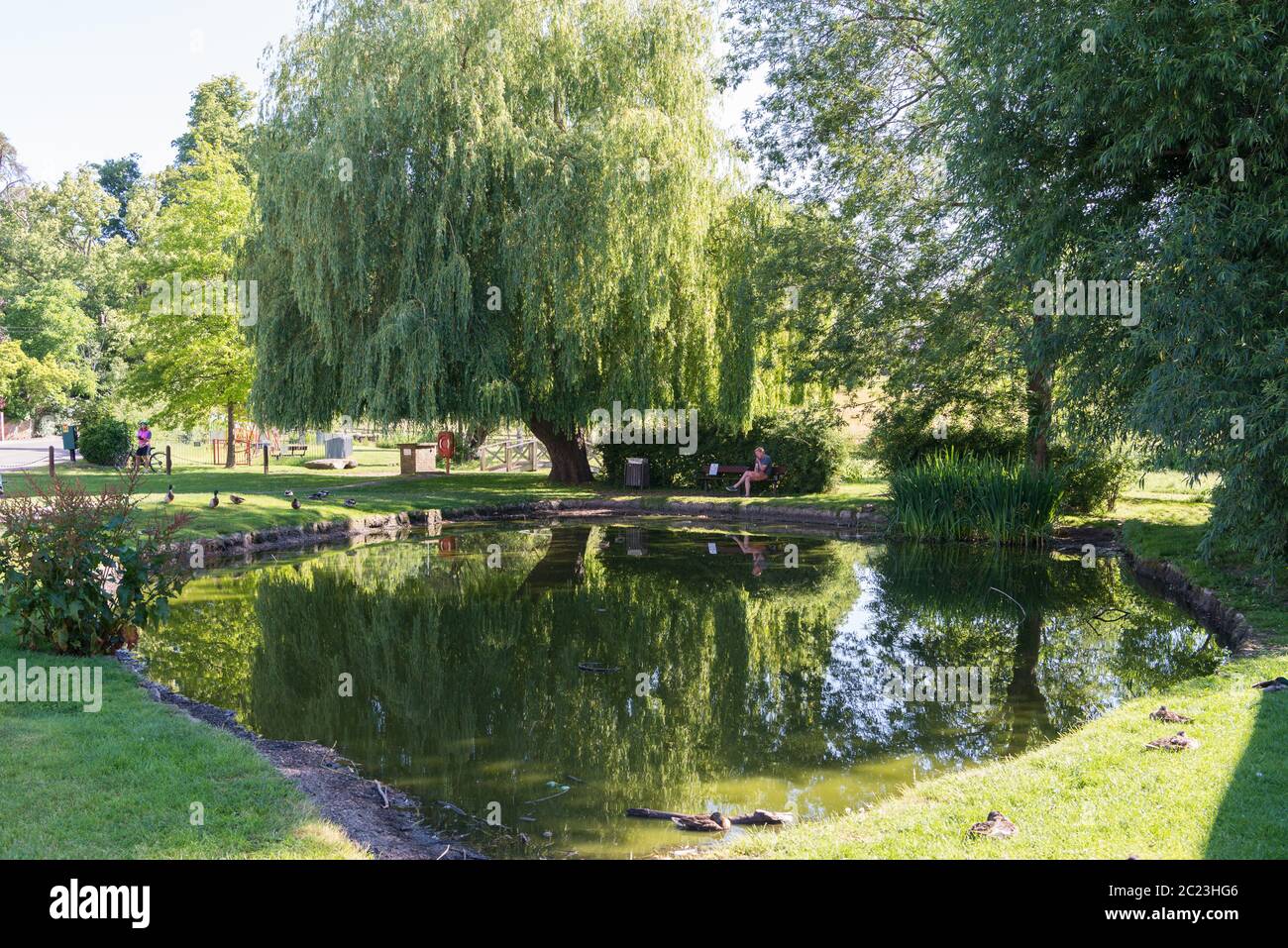 The village duck pond on the green in Chalfont St. Giles