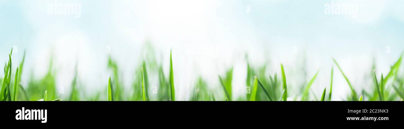 Green grass sunny sky hi-res stock photography and images - Alamy