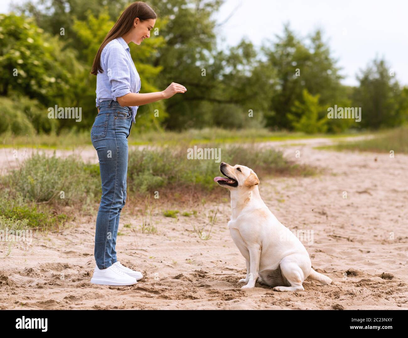 Obedient pet store