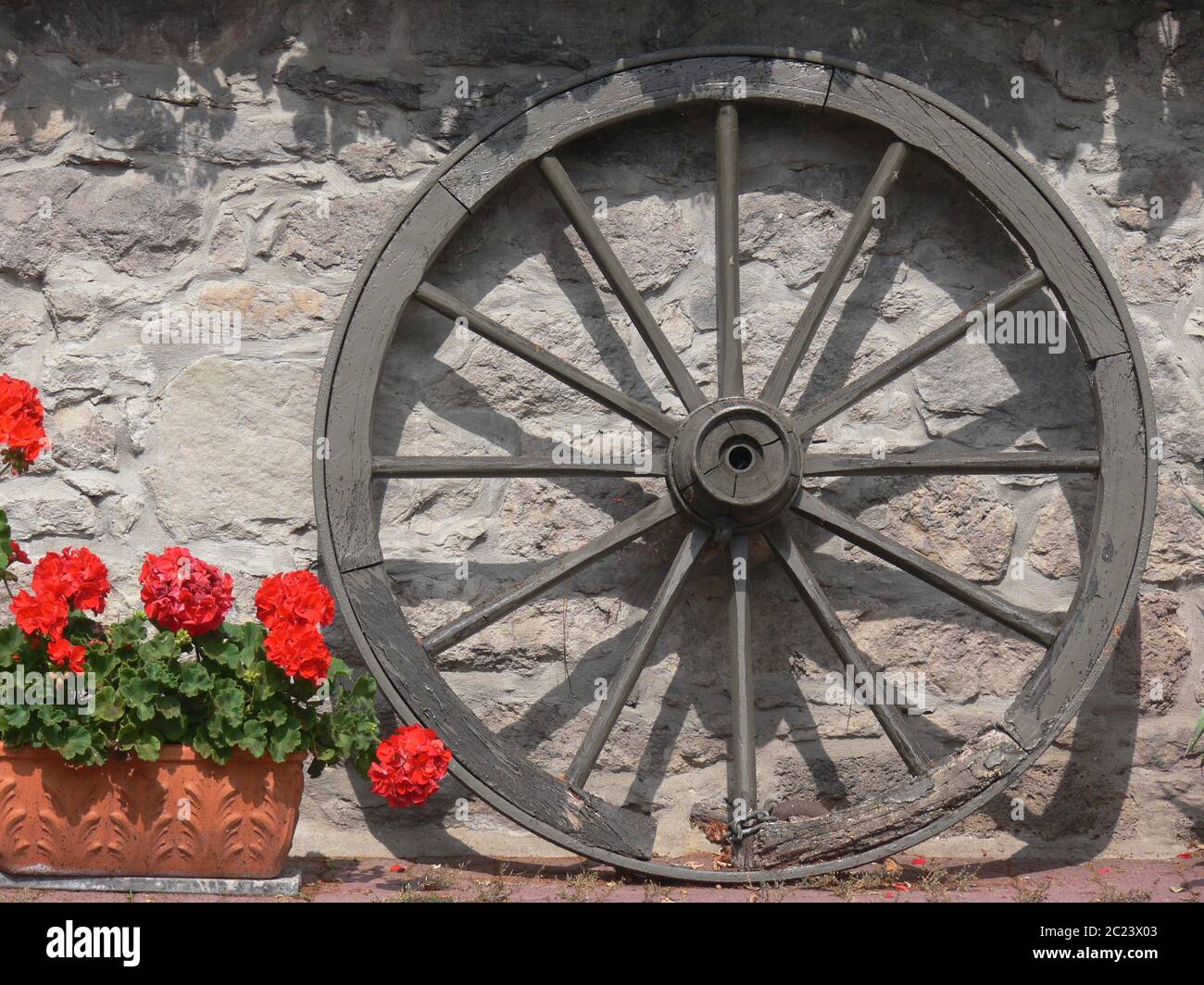 Wooden wheel with wooden spokes next to red flowers Stock Photo