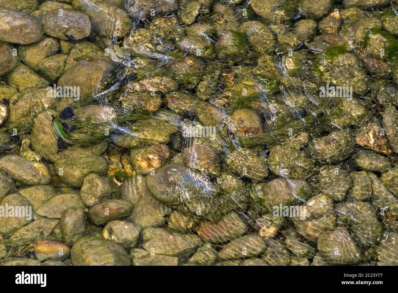 stones covered with water Stock Photo