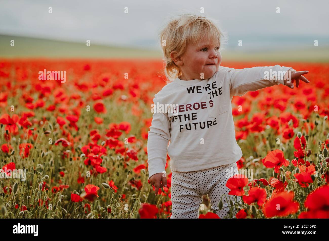 Boys in wildflower field hi-res stock photography and images - Alamy