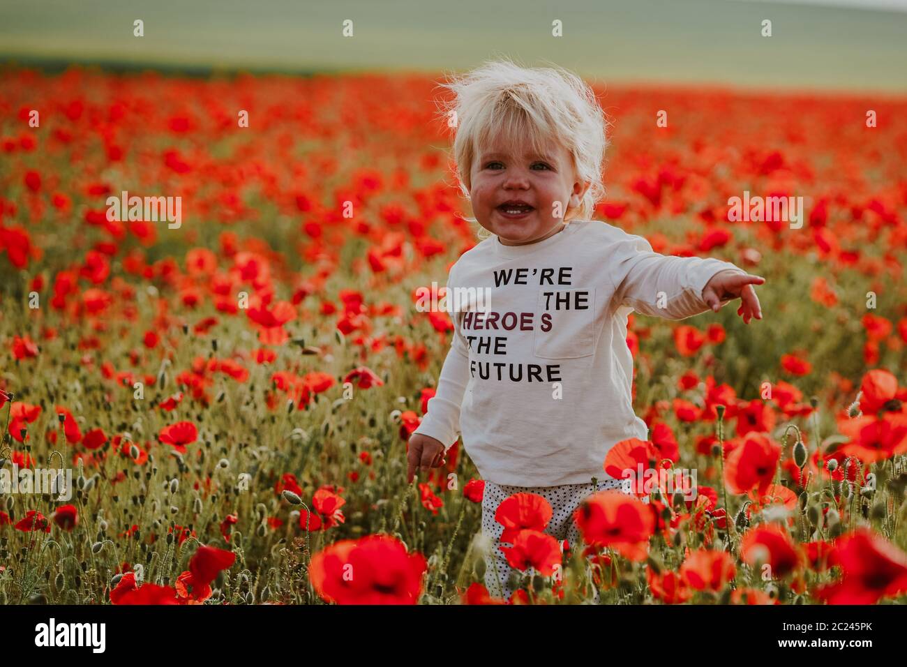 Boys in wildflower field hi-res stock photography and images - Alamy