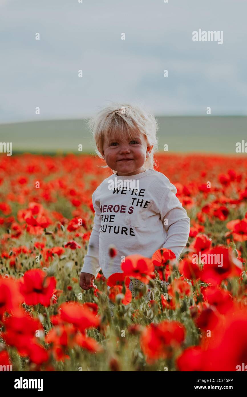 Child boy in a poppy field hi-res stock photography and images - Alamy