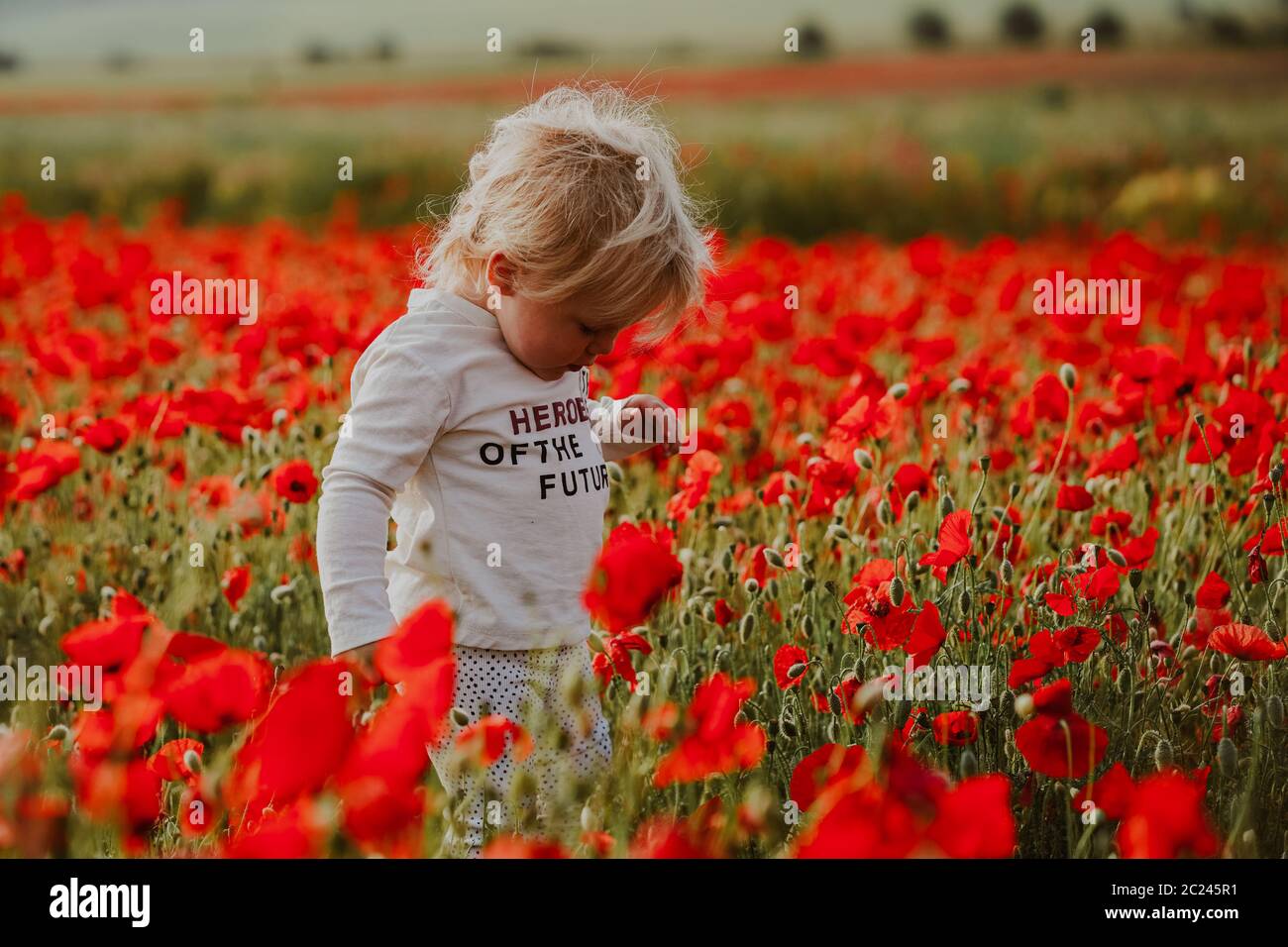 Boys in wildflower field hi-res stock photography and images - Alamy
