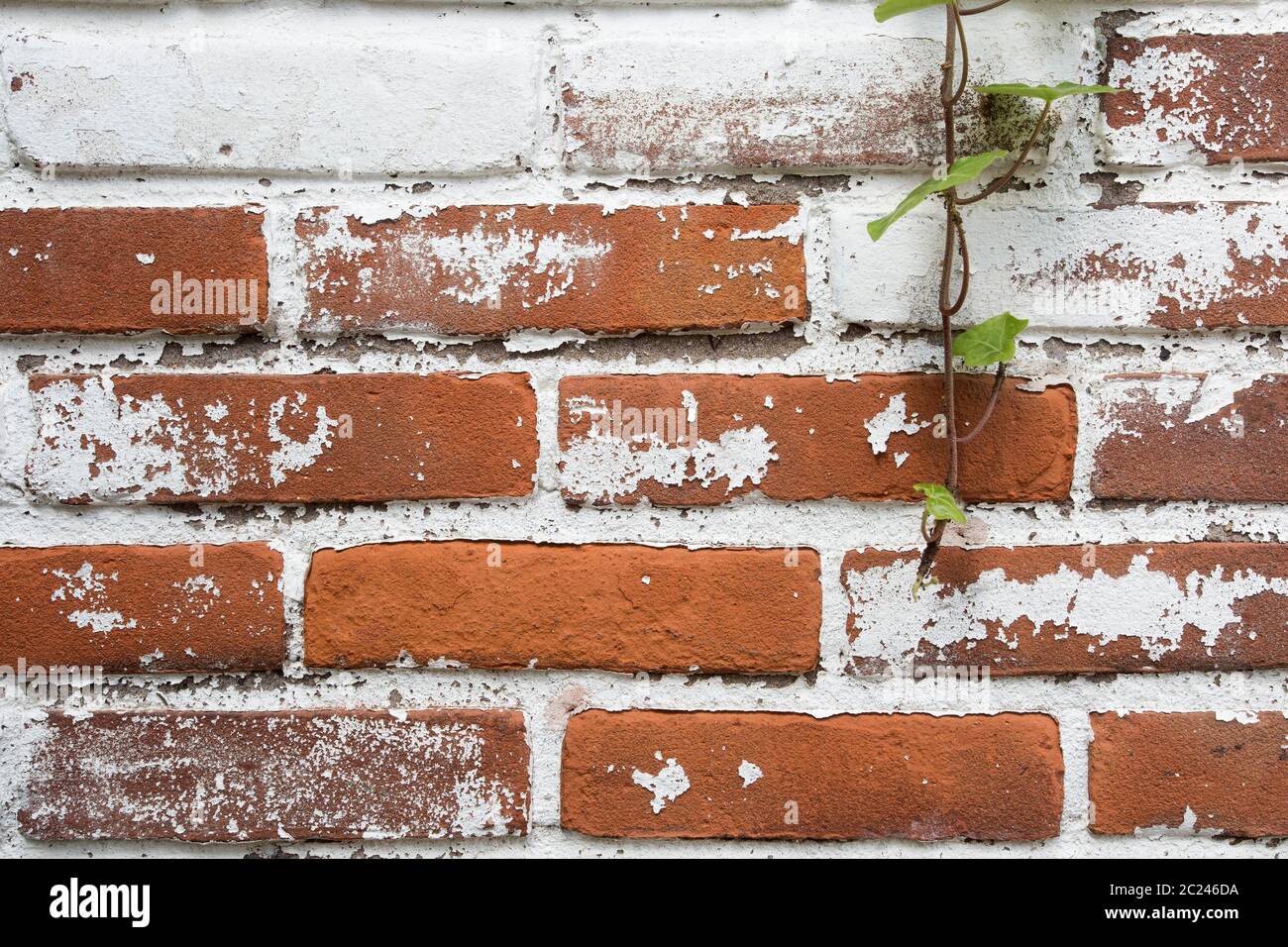 Background of old vintage dirty brick wall with peeling plaster ...