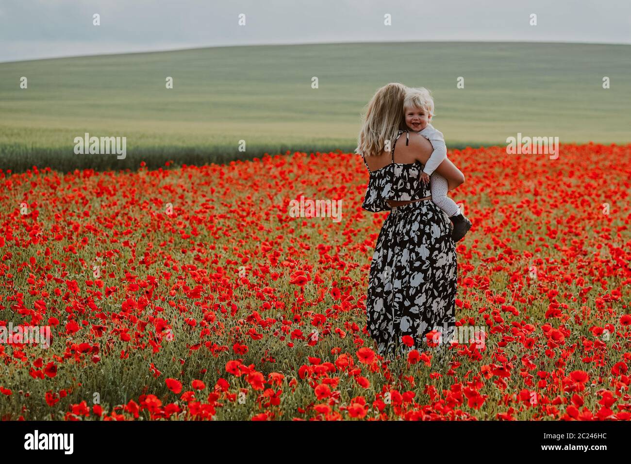 Boys in wildflower field hi-res stock photography and images - Alamy
