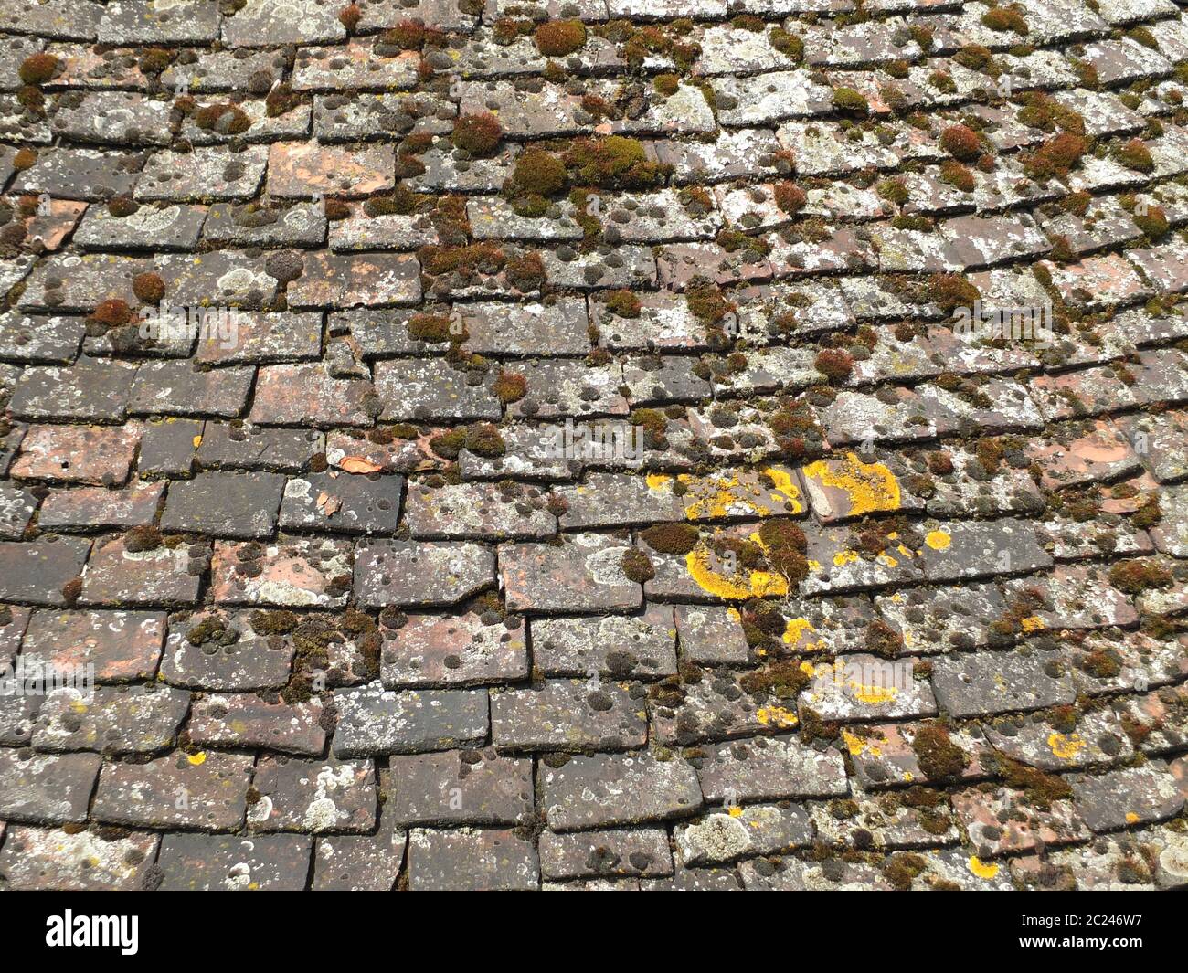 old chipped roof tiles with moss in an overlapping pattern Stock Photo ...