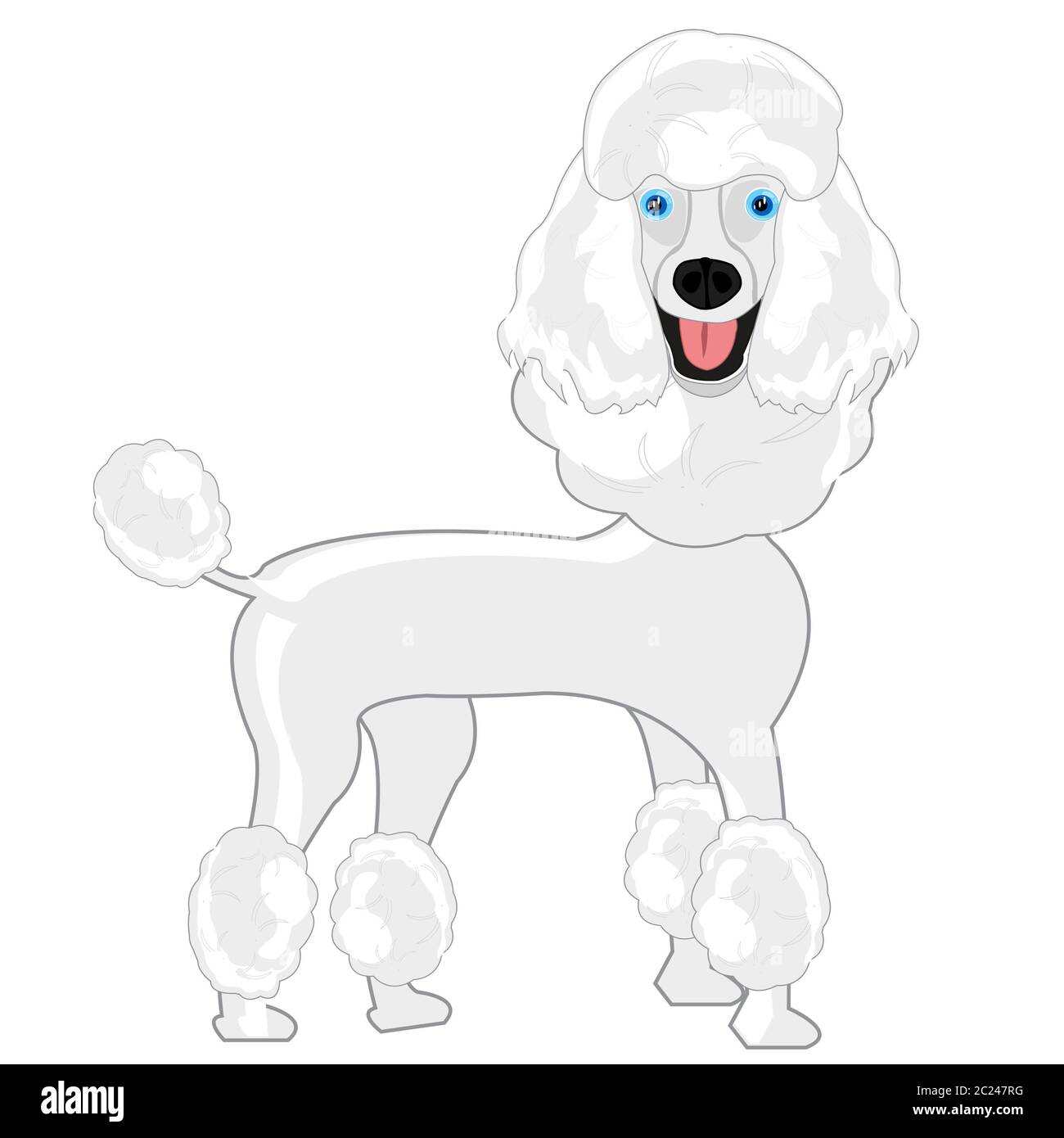 Vector illustration of the cartoon of the dog of the sort poodle Stock ...