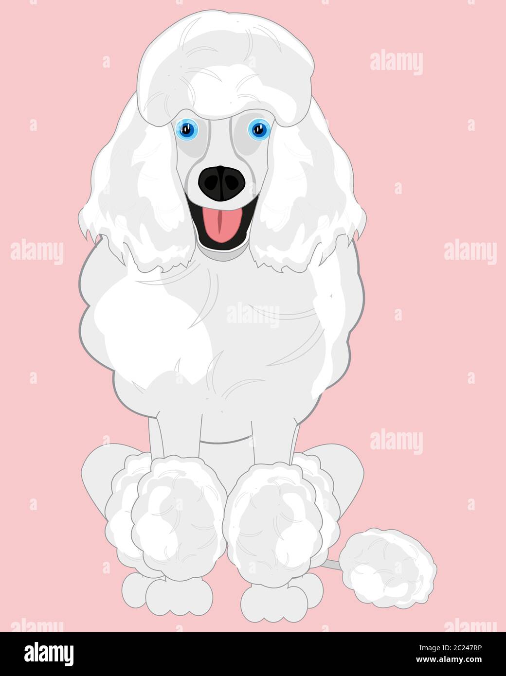 Vector illustration of the dog of the sort poodle type frontal Stock ...