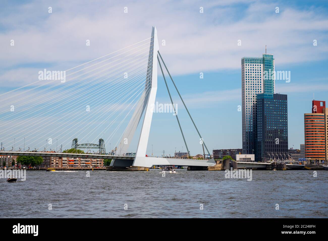 Erasmus suspension bridge over the Nieuwe Maas in Rotterdam, Netherlands Stock Photo