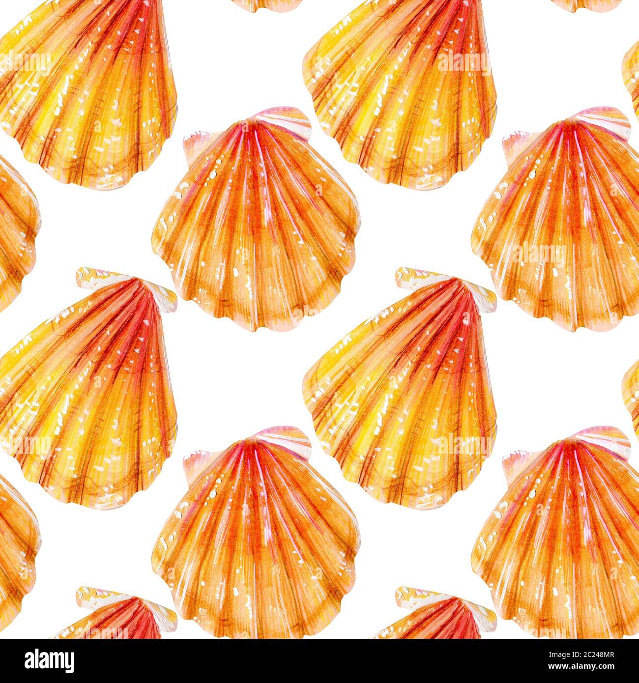 Seamless pattern of yellow scallops. Beige bivalve mollusk Pectinidae