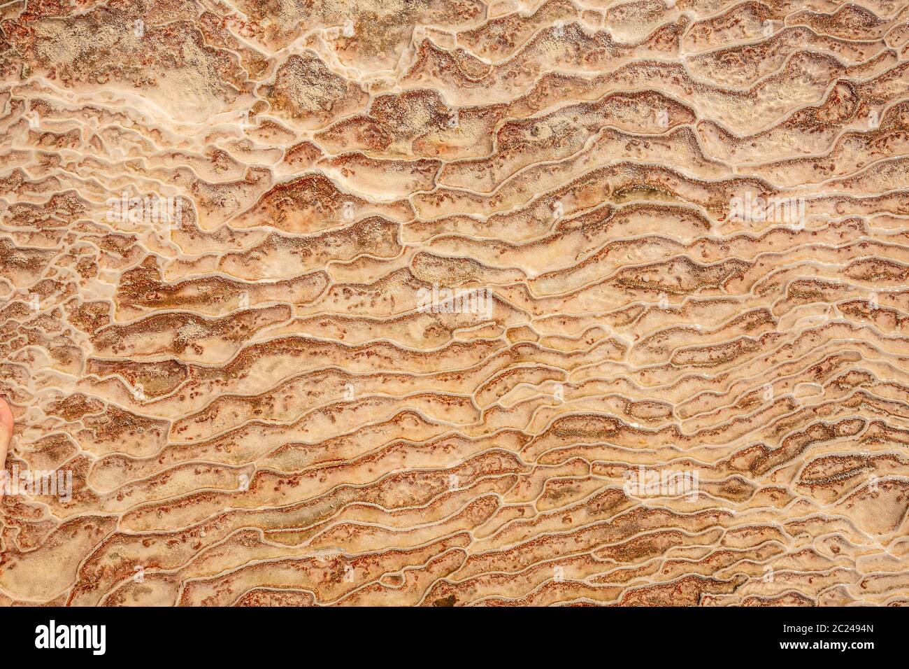 Natural mineral limestone background, Pamukkale pool surface texture. Stock Photo