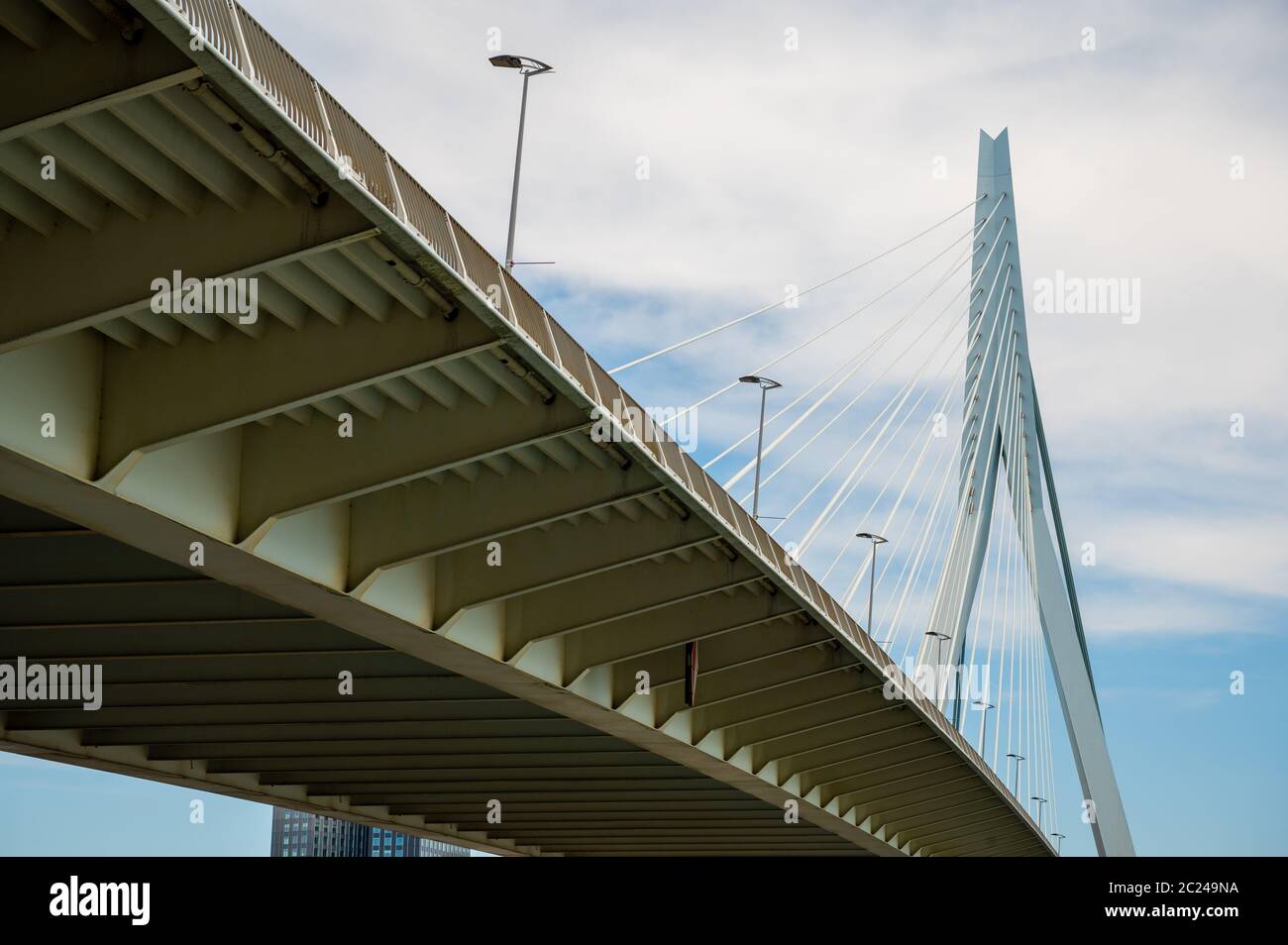 Erasmus suspension bridge over the Nieuwe Maas in Rotterdam, Netherlands Stock Photo