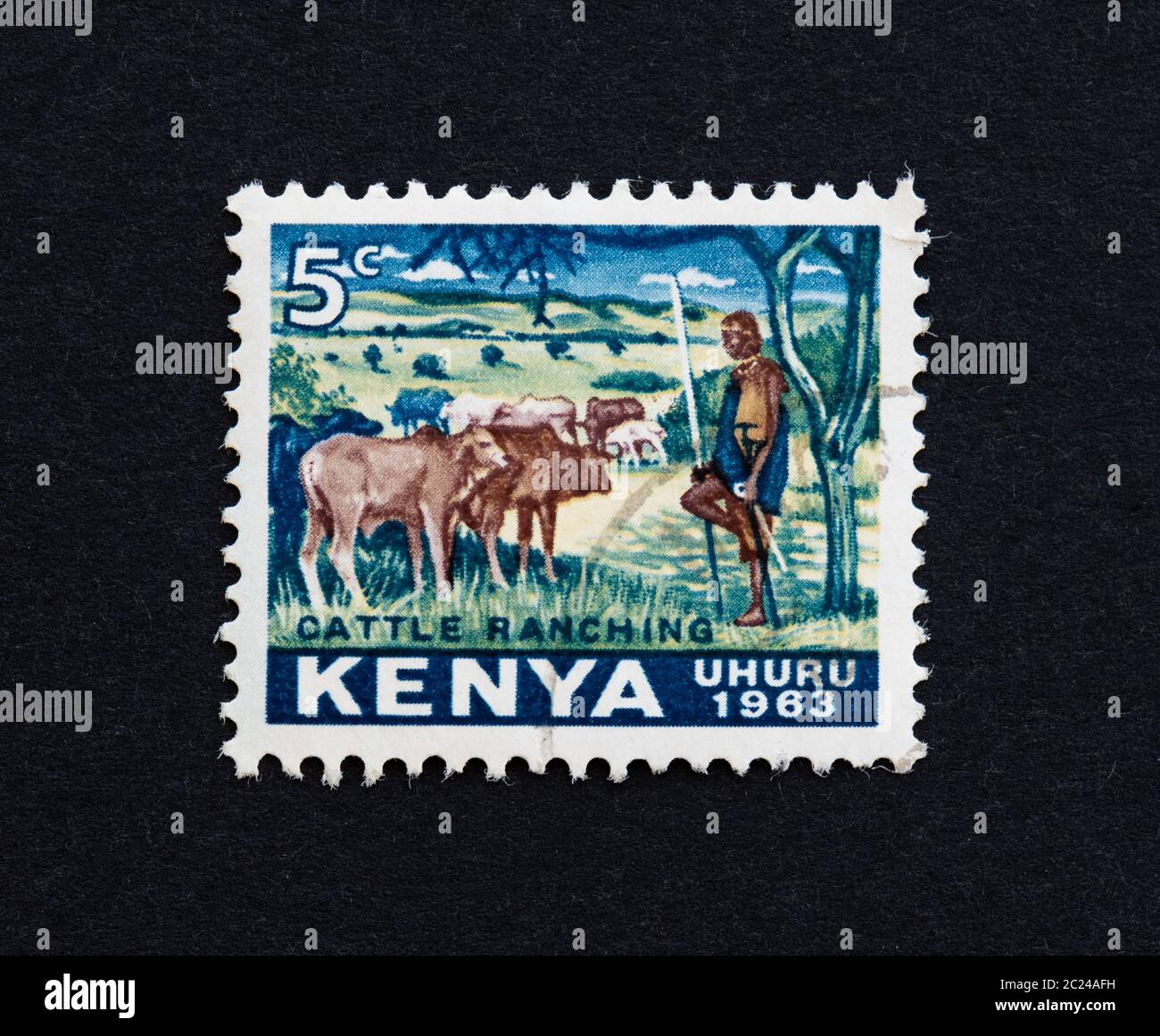 Kenya independence stamp (uhuru) showing cattle ranching 1963 Stock Photo