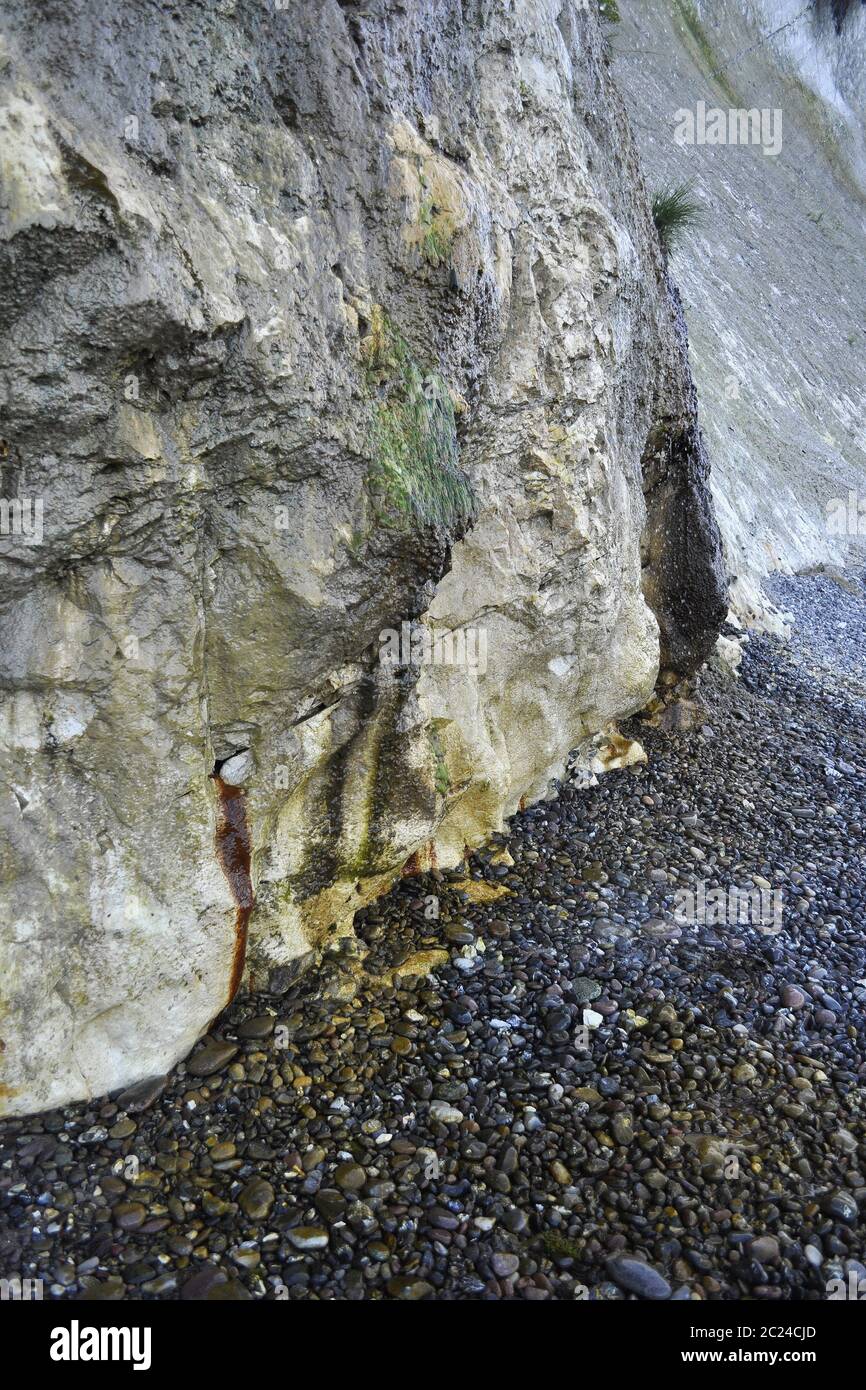 Steep wall with source on the chalk coast, RÃ¼gen island Stock Photo
